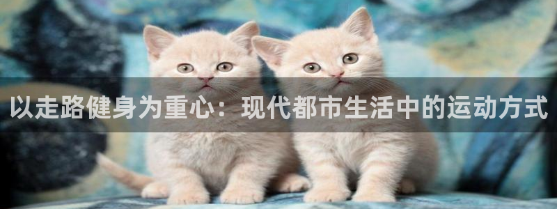 龙8国际官方手机版登录