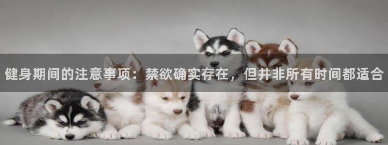 龙8国际平台