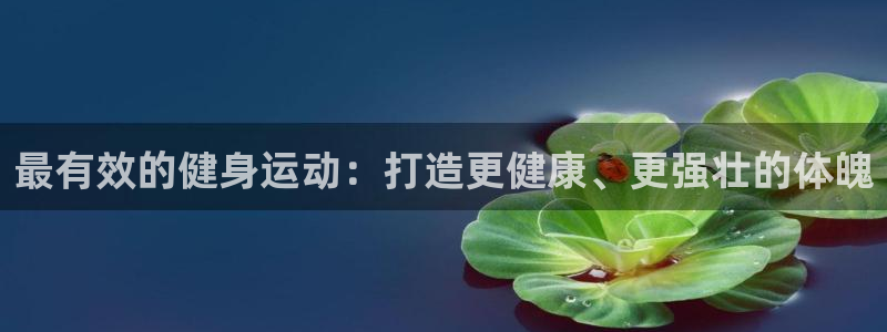 龙8国际版