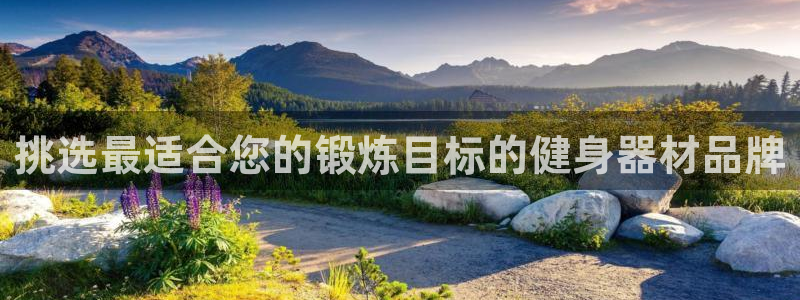 龙8国际电子平台