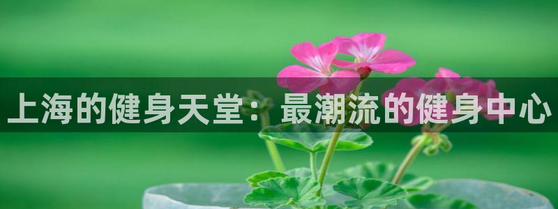 龙8游戏官方进入