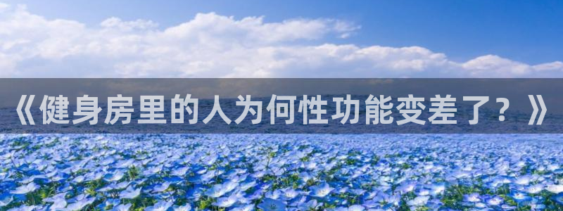 龙8app 国际