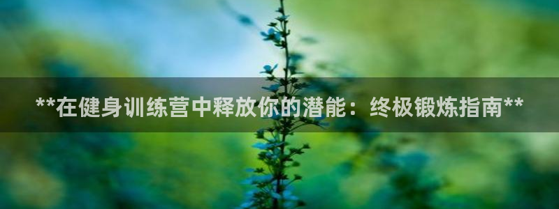 龙八国际app客户下载