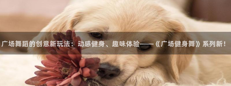龙8国际官方网址下载