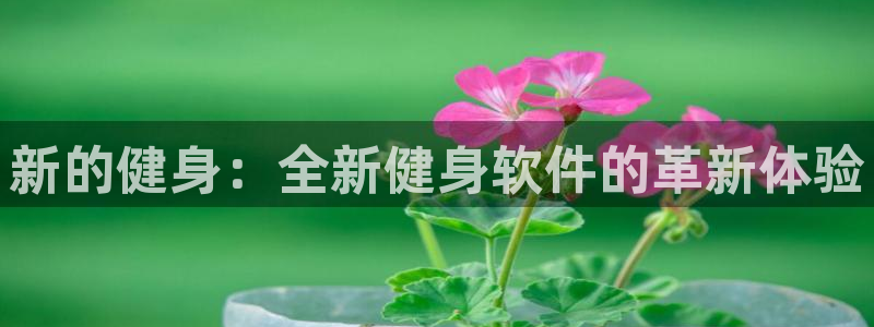 龙八国际娱乐官方网站