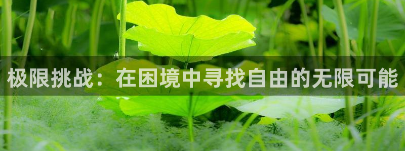 龙8国际平台