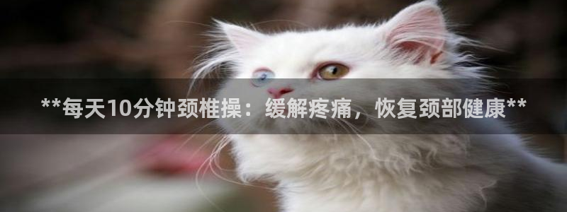 龙八国际服官网入口