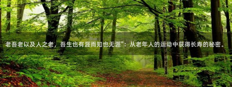 龙8国际app下载手机版