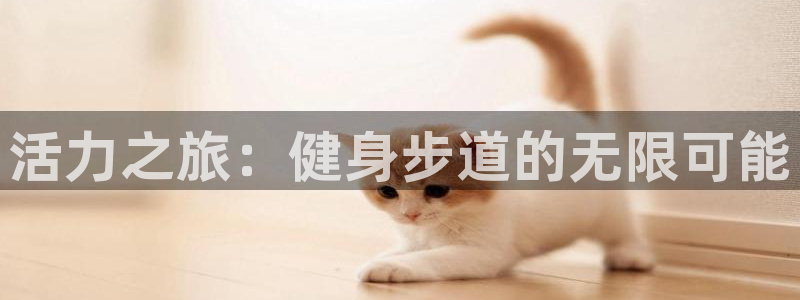 龙8国际游戏娱乐