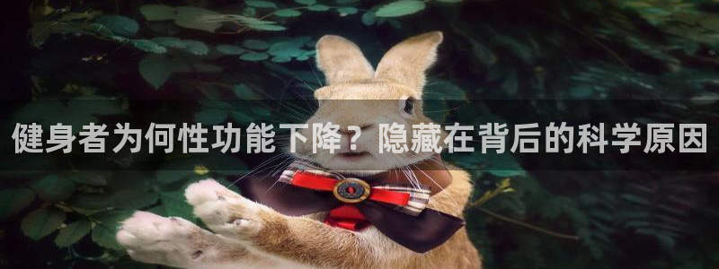 龙8国际-我的