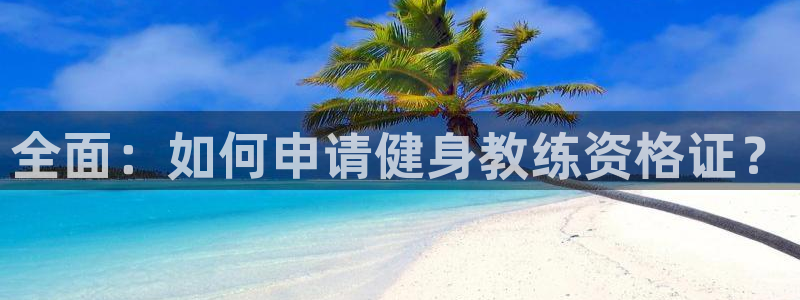 龙8国际电玩城