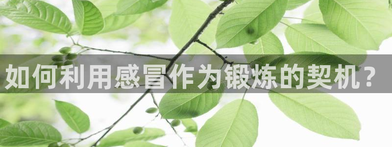 龙8国际网站