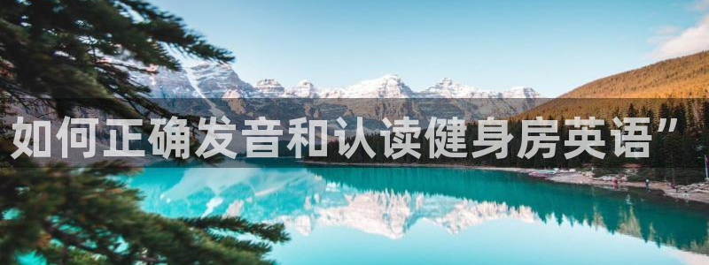 龙8国际long88