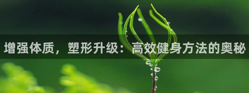 龙8国际版