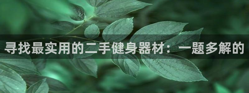 龙8国际平台