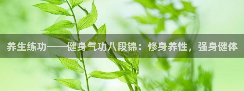 龙8国际备用
