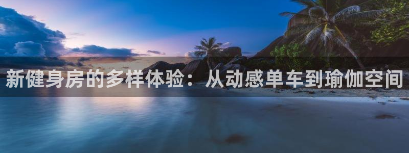 龙8国际玩家