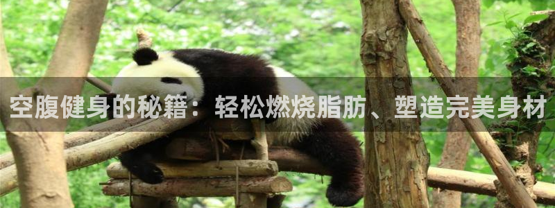 龙8国际官网正版