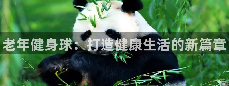 龙8国际是不是黑网