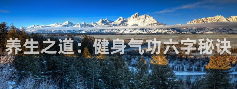 龙八棋牌