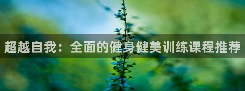 龙8国际官方下载