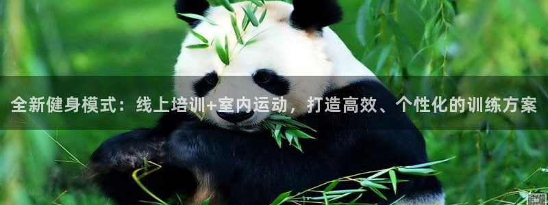 龙8国际long88(中国)官方网站