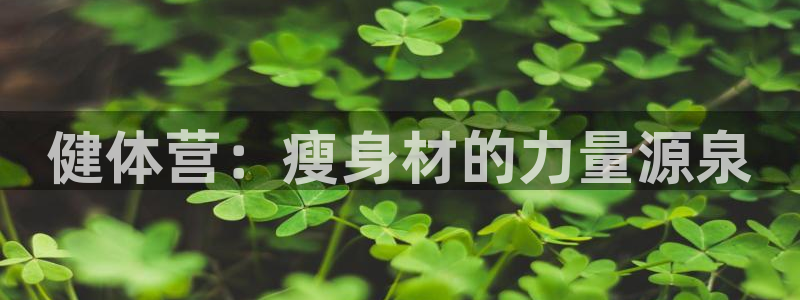 龙8国际手机游戏官网下载