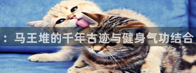 龙8国际客服