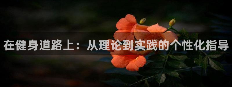 龙8国际版