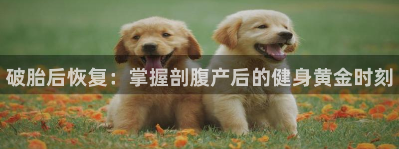 龙8国际登录网址推荐ag87253