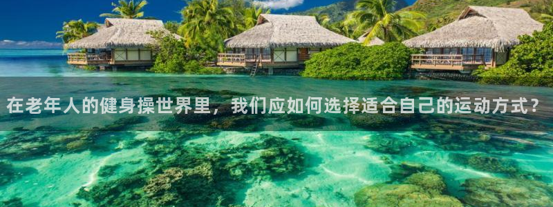 龙8国际总代理