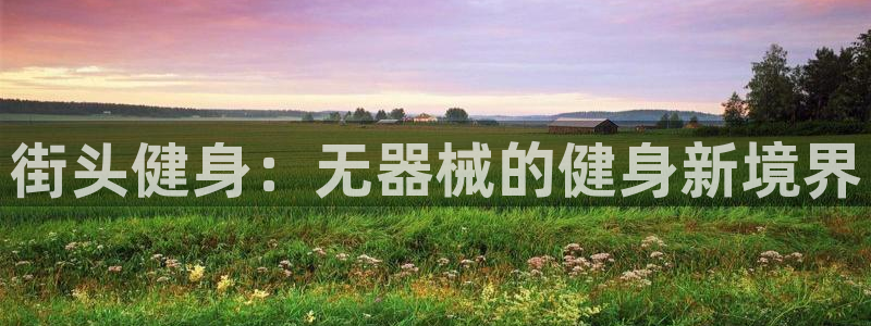 龙八国际app客户端下载不了