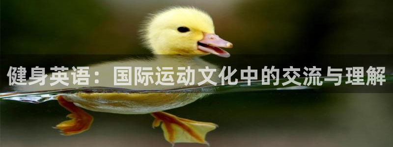 龙8国际棋牌