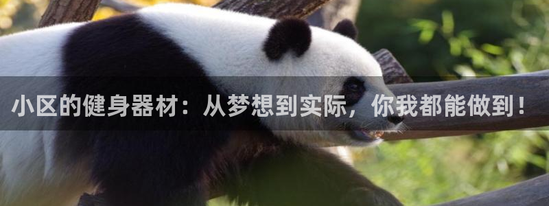 龙8国际下载