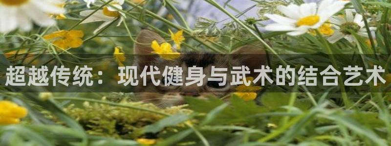龙8国际官网官方版fxzls天地手游 -kc -安卓