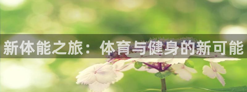 龙8国际的漏洞