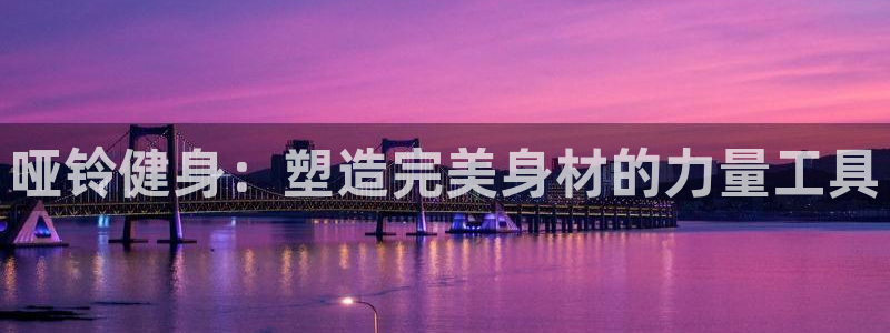 龙8国际备用