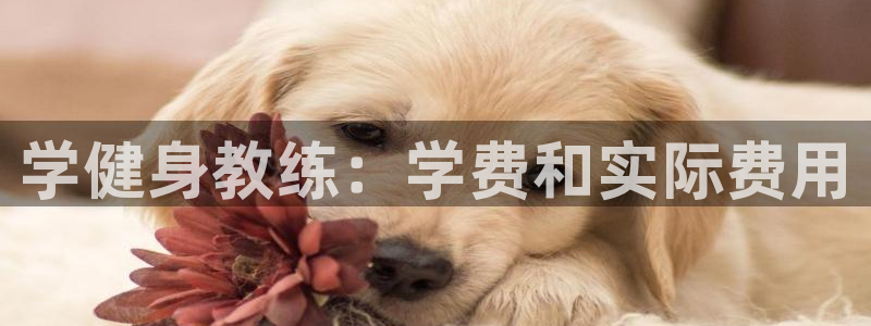 龙8老虎机手机版