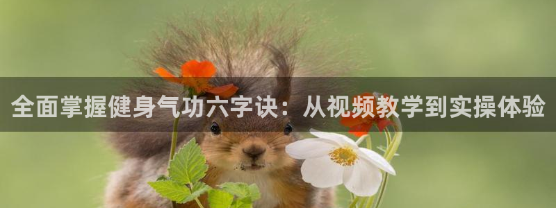 龙8国际是什么平台