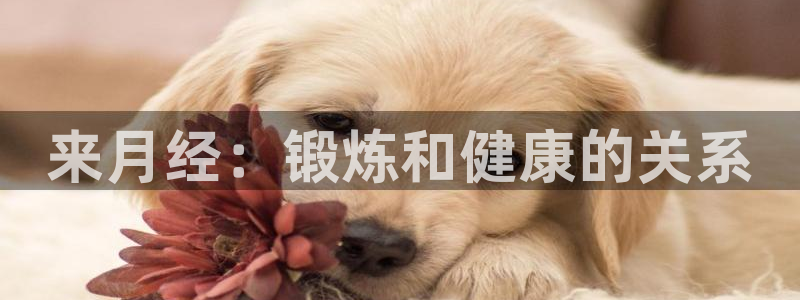 龙8国际娱首页