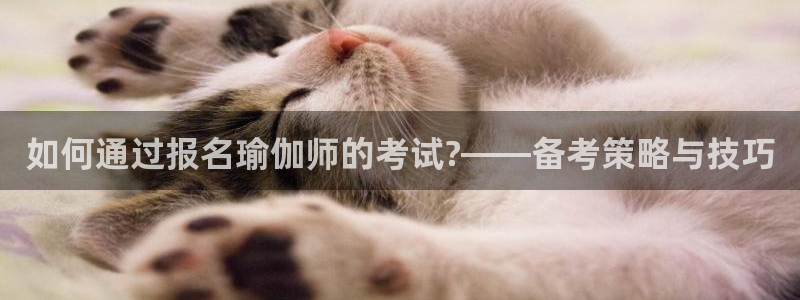 龙8国际官网版最新版下载