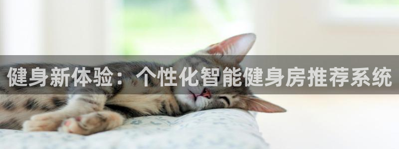 龙8国际app 下载