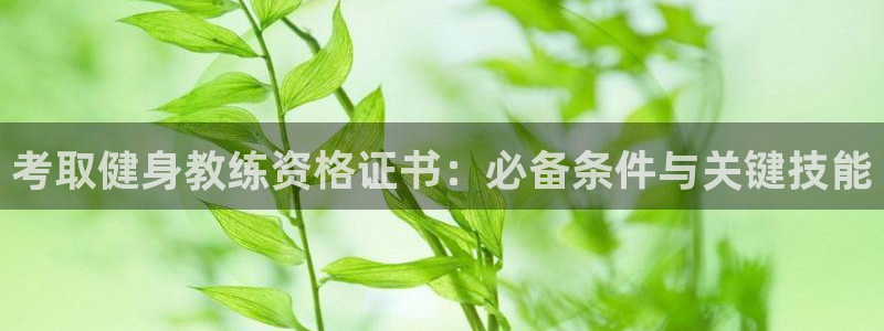龙8国际平台提款被黑