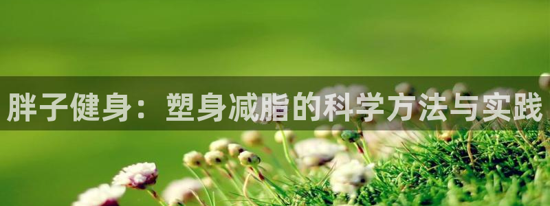 龙八国际手机客户端