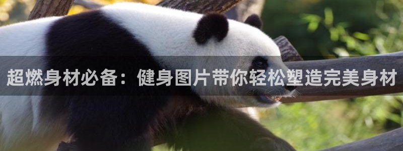 龙8国际的官方网站