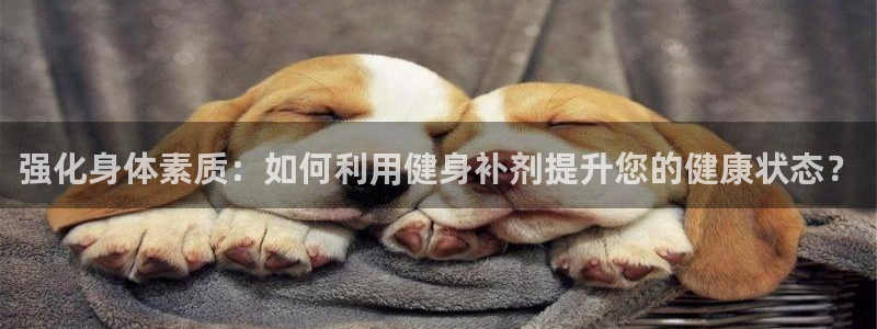 龙8国际游戏官方网站