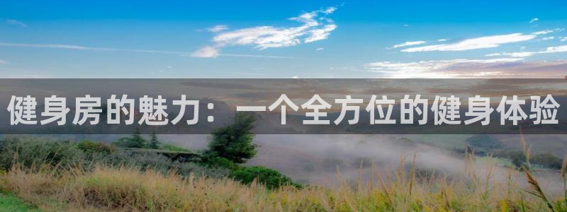 龙8国际龙8官方