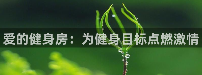 龙8国际官网注册