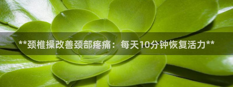国际龙8官方网站
