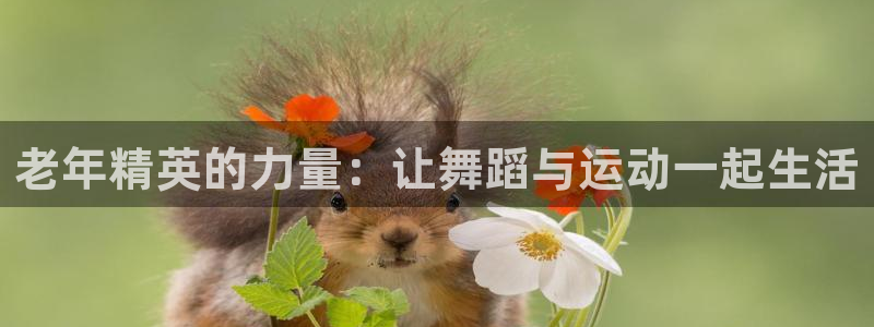 龙8国际官网 点此进入游戏